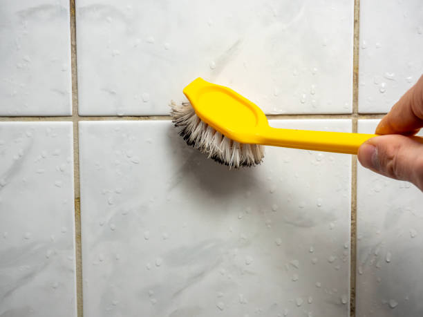 Best Mold Testing and Removal  in Hollywood Park, TX