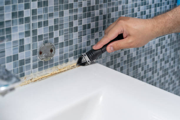 Best Certified Mold Removal  in Hollywood Park, TX